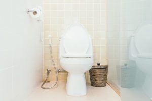 history of the toilet