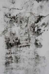 Black Mold