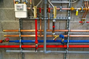 New Century Plumbing-Roots vs. Pipes