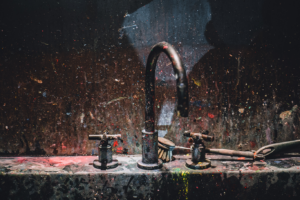 New Century Plumbing-Garbage Disposal Cleaner